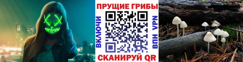 Галлюциногенные грибы ЛСД хочу наркоту Кедровый