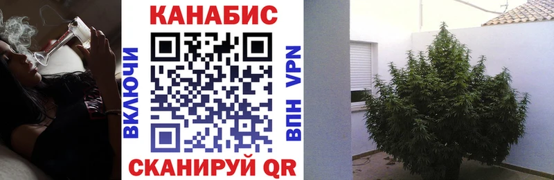 Бошки Шишки Amnesia Кедровый